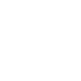Toston